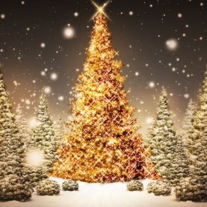 Різдвяно-новорічний концерт Академічного камерного хору «Чернівці»