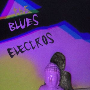 Концерт гурту The Blues Electros