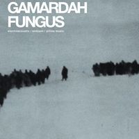 Концерт гурту Gamardah Fungus