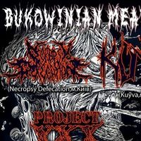 Bukowinian Meatgrinder Fest