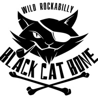 Концерт гурту Black Cat Bone